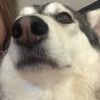 amanda_traver